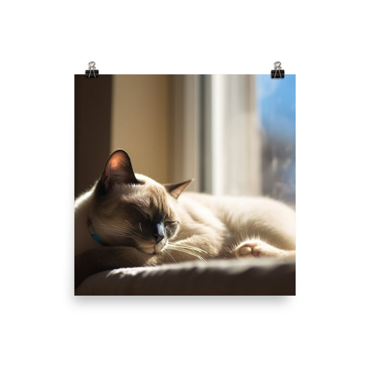 Sleeping Siamese on a Windowsill photo paper poster - Posterfy.AI