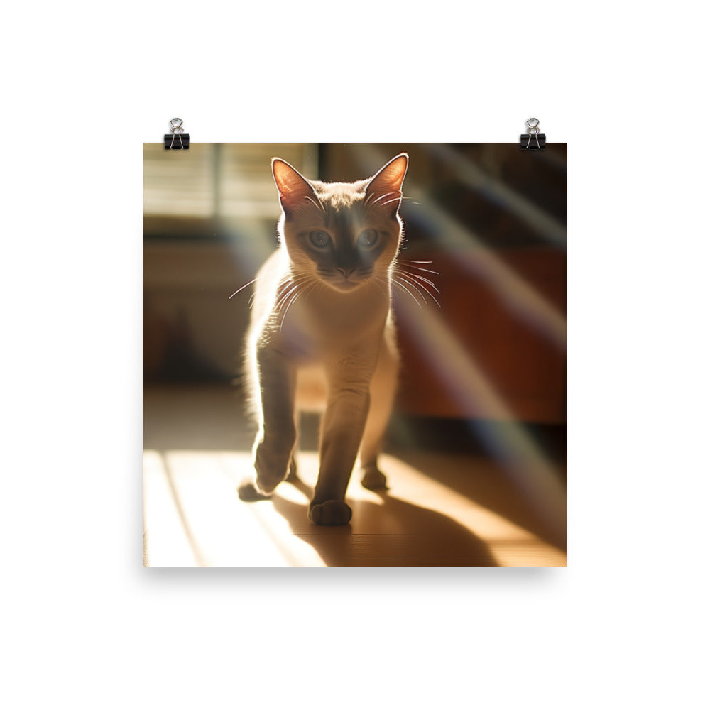 Playful Siamese in a Sunbeam photo paper poster - Posterfy.AI