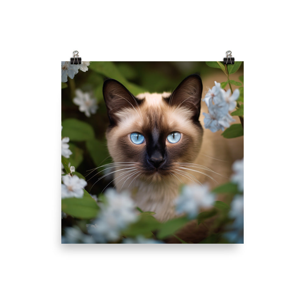 Curious Siamese in the Garden photo paper poster - Posterfy.AI