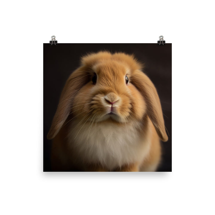 American Fuzzy Lop Photo paper poster - PosterfyAI.com
