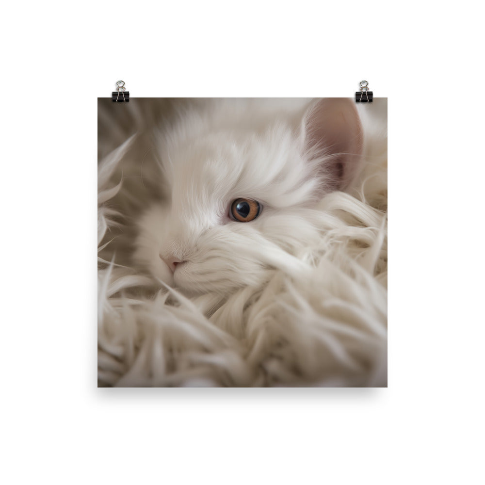 French Angora Bunnys Intricate Fur Detail Photo paper poster - PosterfyAI.com