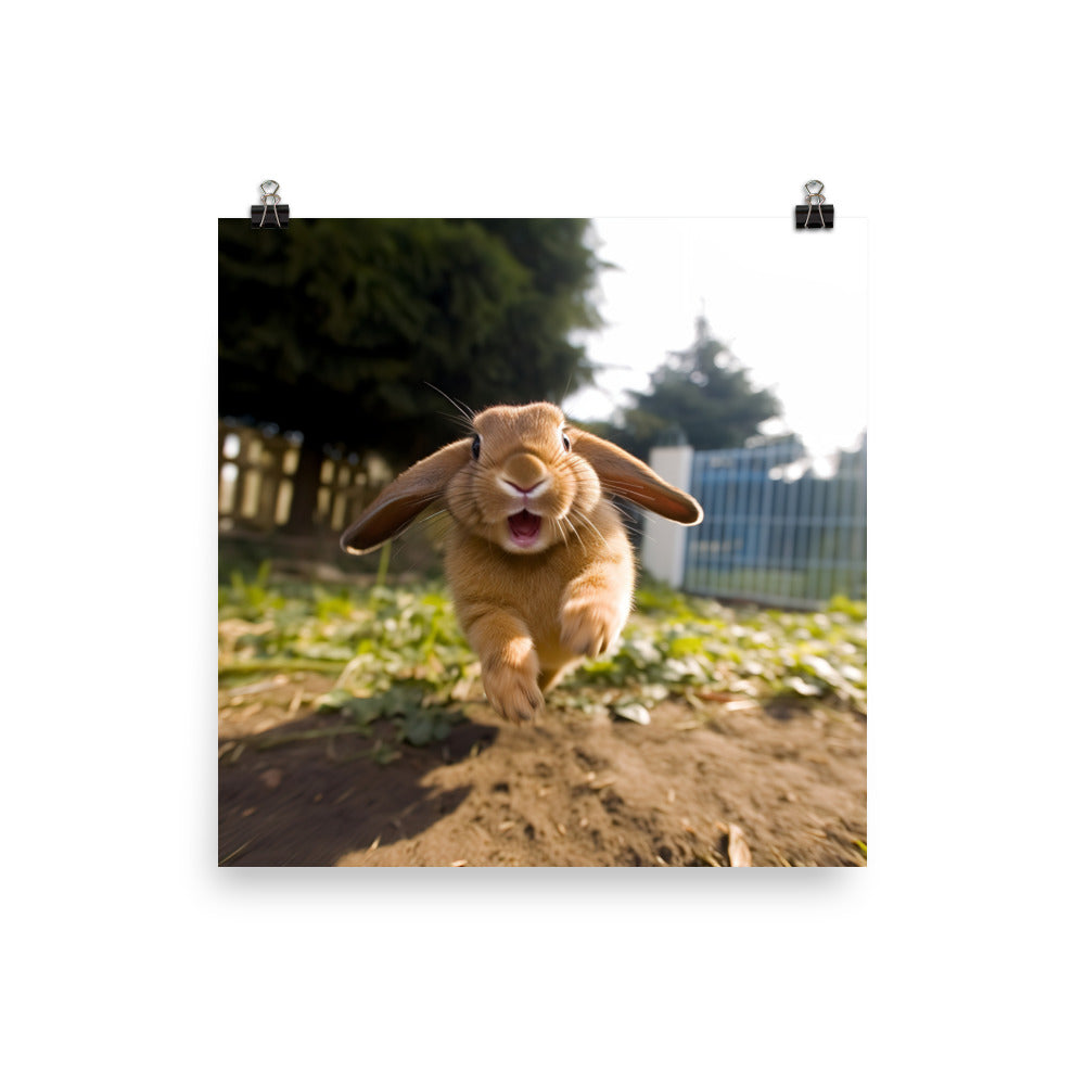 Mini Lop Bunny Enjoying a Playful Hop Photo paper poster - PosterfyAI.com