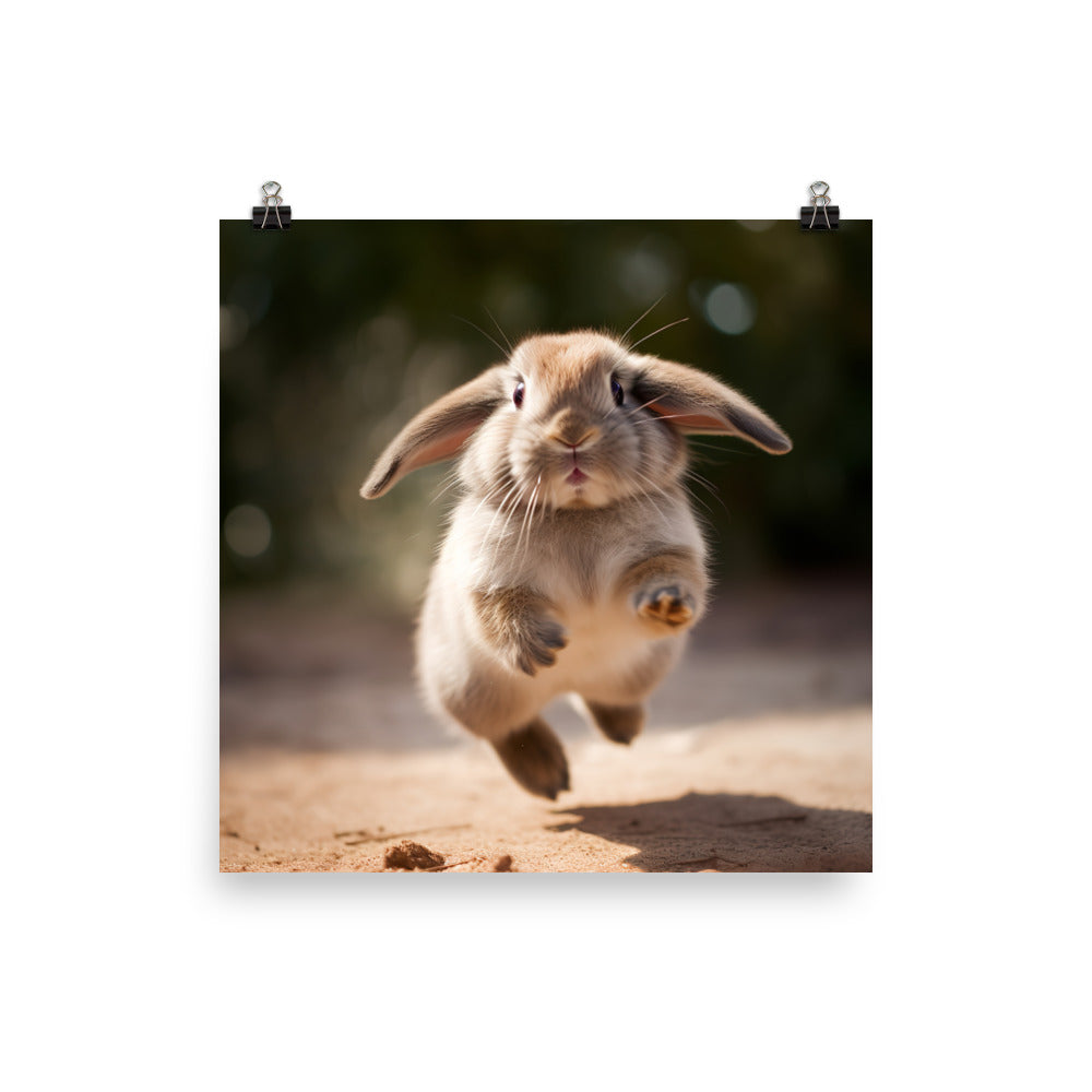 Mini Lop Bunny Enjoying a Playful Hop Photo paper poster - PosterfyAI.com