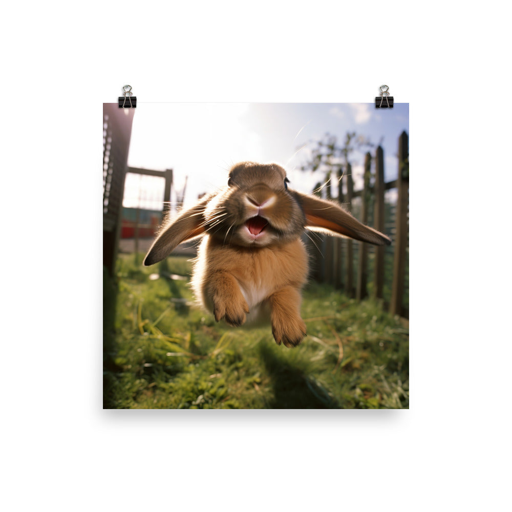 Mini Lop Bunny Enjoying a Playful Hop Photo paper poster - PosterfyAI.com