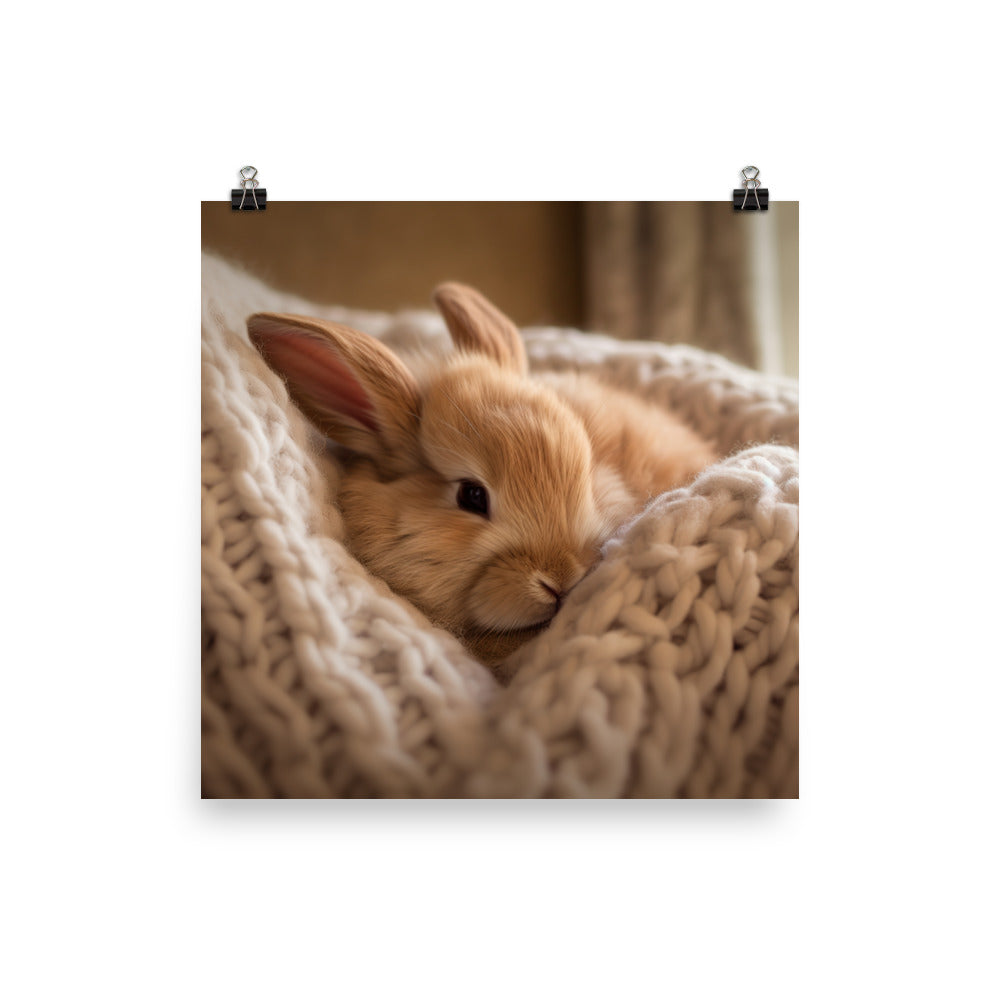 Jersey Wooly Bunny in a Cozy Setting Photo paper poster - PosterfyAI.com