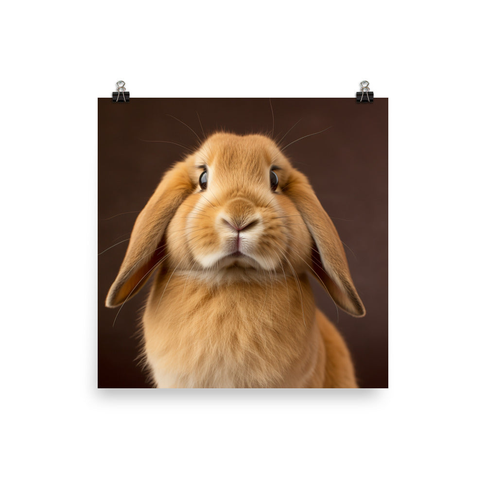 Holland Lop Bunny Photo paper poster - PosterfyAI.com