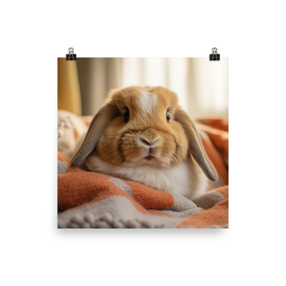 Holland Lop Bunny in a Cozy Setting Photo paper poster - PosterfyAI.com