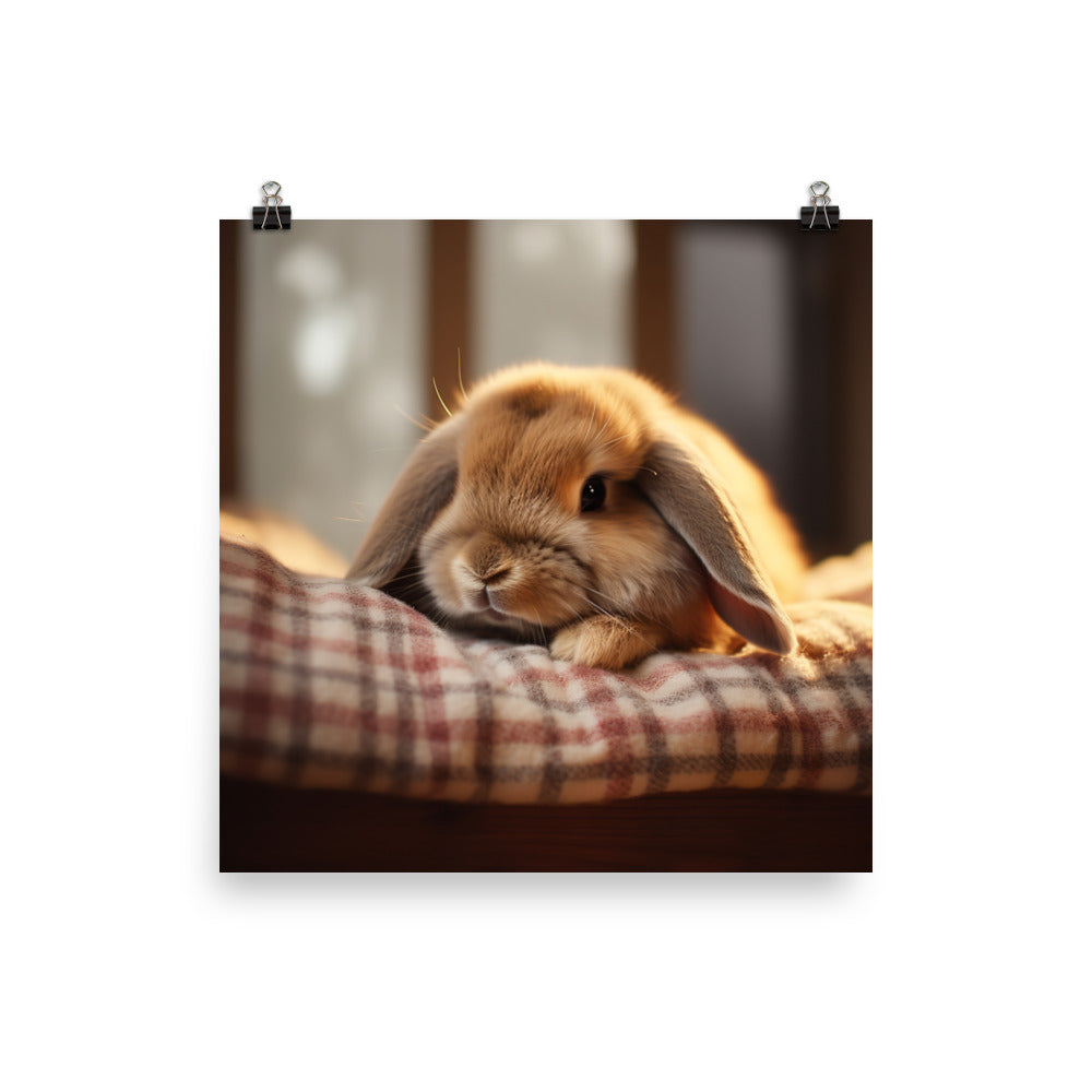 Holland Lop Bunny in a Cozy Setting Photo paper poster - PosterfyAI.com