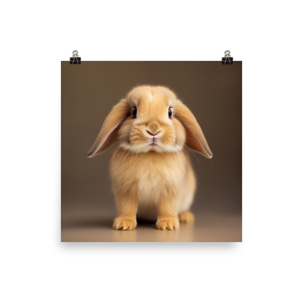 Adorable Holland Lop Bunny Photo paper poster - PosterfyAI.com