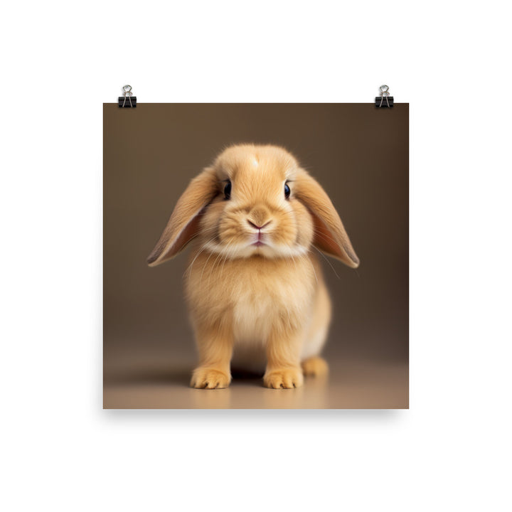 Adorable Holland Lop Bunny Photo paper poster - PosterfyAI.com