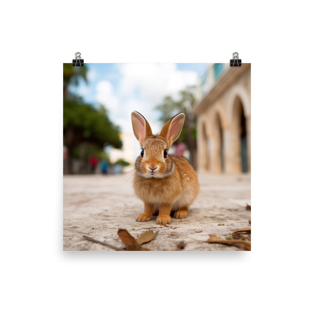 Adorable Havana Bunny Photo paper poster - PosterfyAI.com