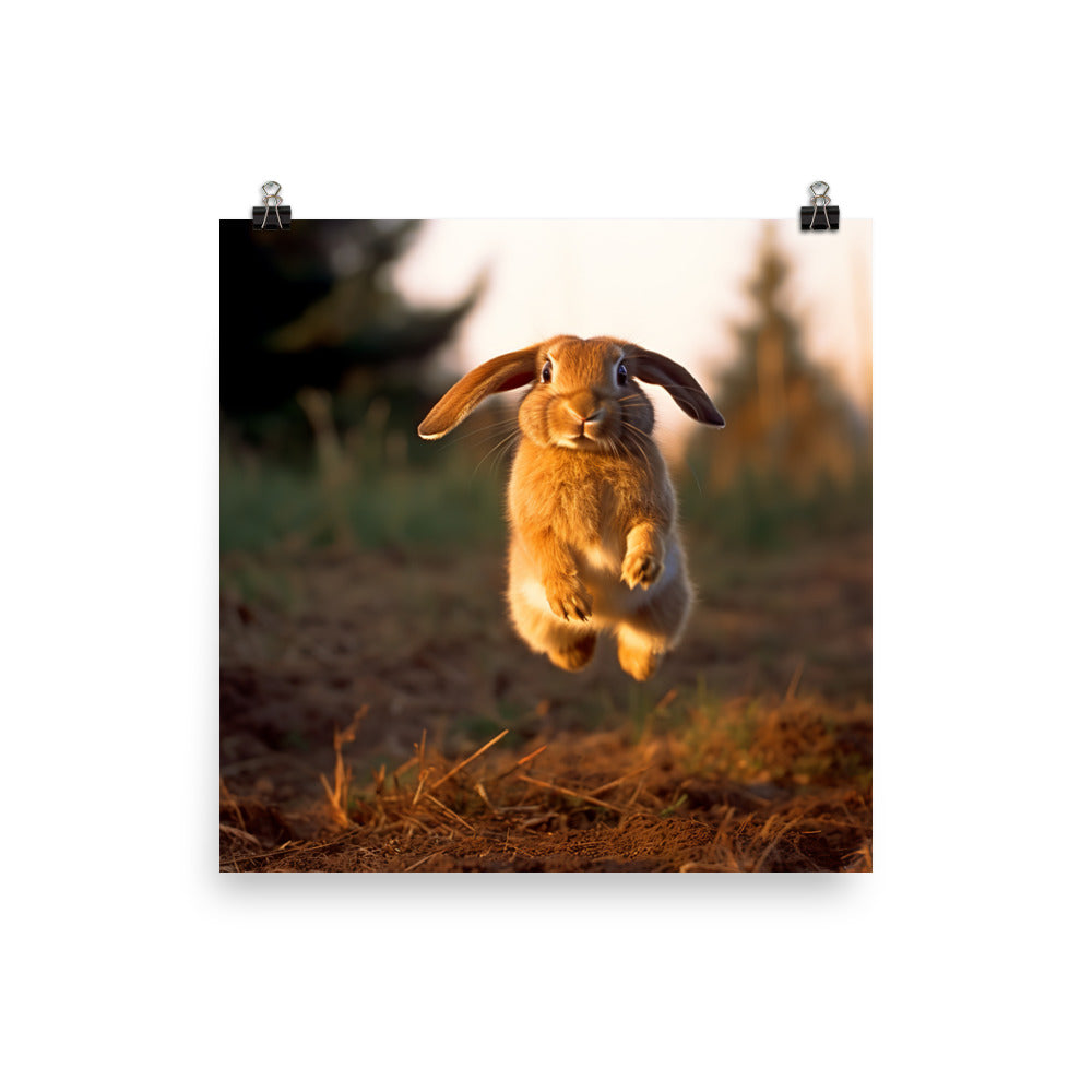English Lop Bunny Enjoying a Playful Hop Photo paper poster - PosterfyAI.com