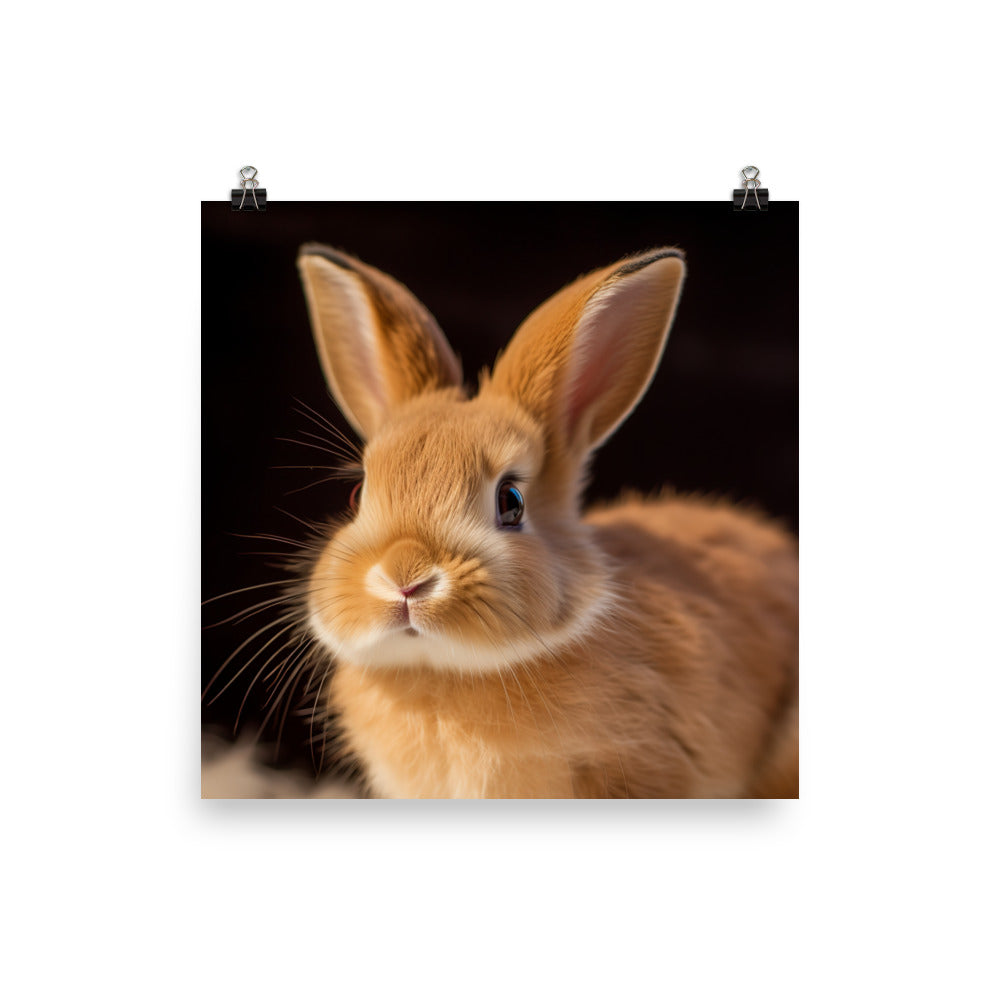 Adorable American Bunny Photo paper poster - PosterfyAI.com
