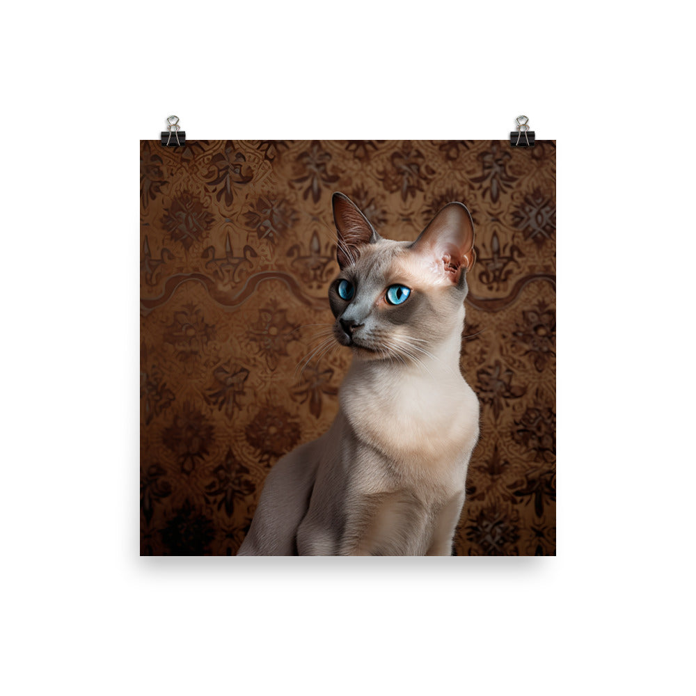 Luxurious Coat of Tonkinese Cat Photo paper poster - PosterfyAI.com