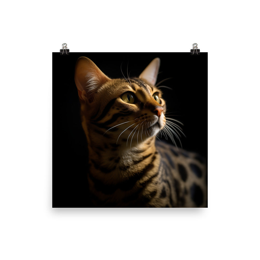Majestic Beauty of Ocicat Cat Photo paper poster - PosterfyAI.com