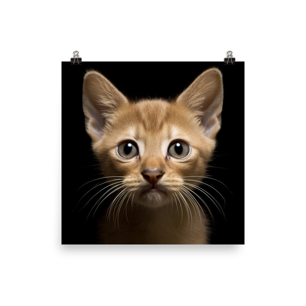 Playful World of Burmese Kitten Photo paper poster - PosterfyAI.com