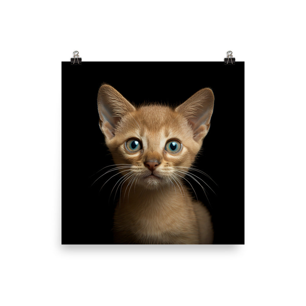 Playful World of Burmese Kitten Photo paper poster - PosterfyAI.com
