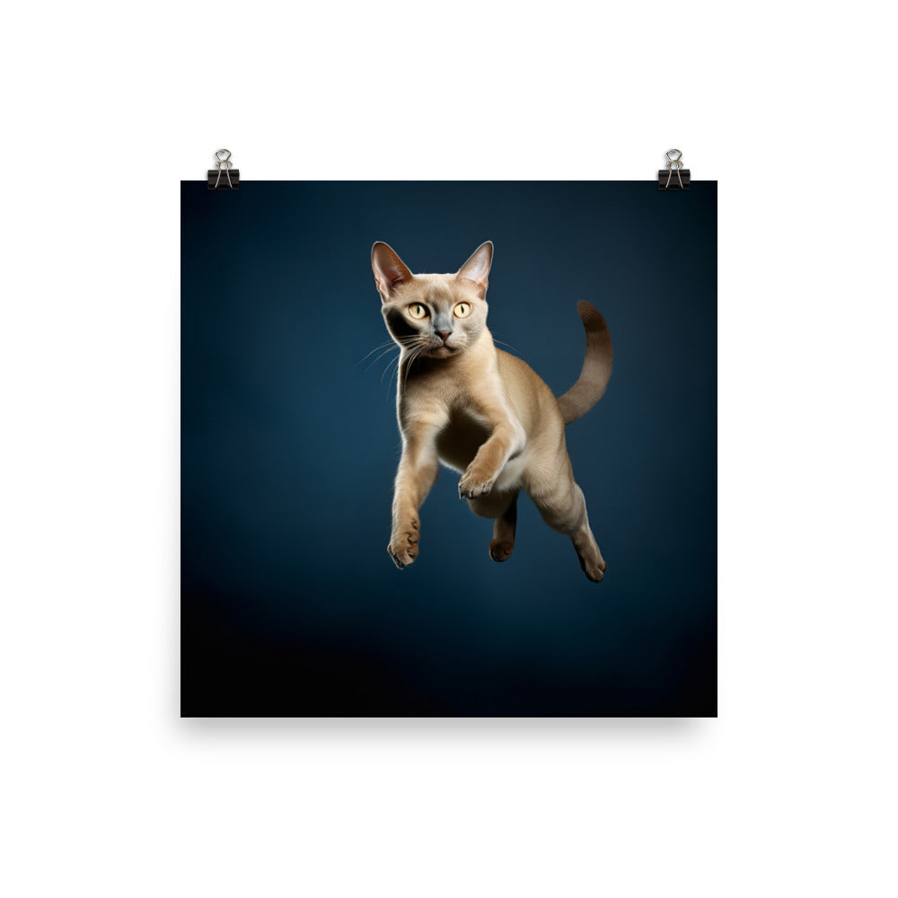 Graceful Movements of Burmese Cat Photo paper poster - PosterfyAI.com