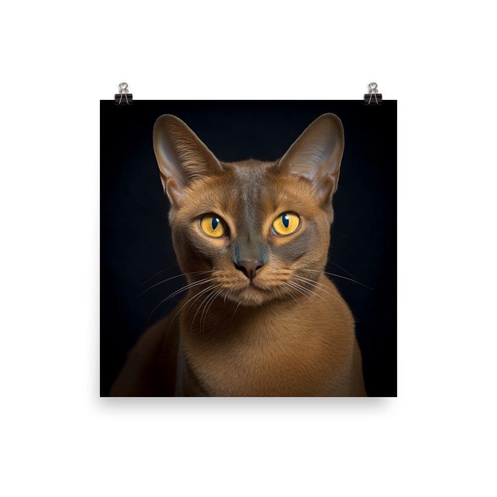 Elegance of Burmese Cat Photo paper poster - PosterfyAI.com