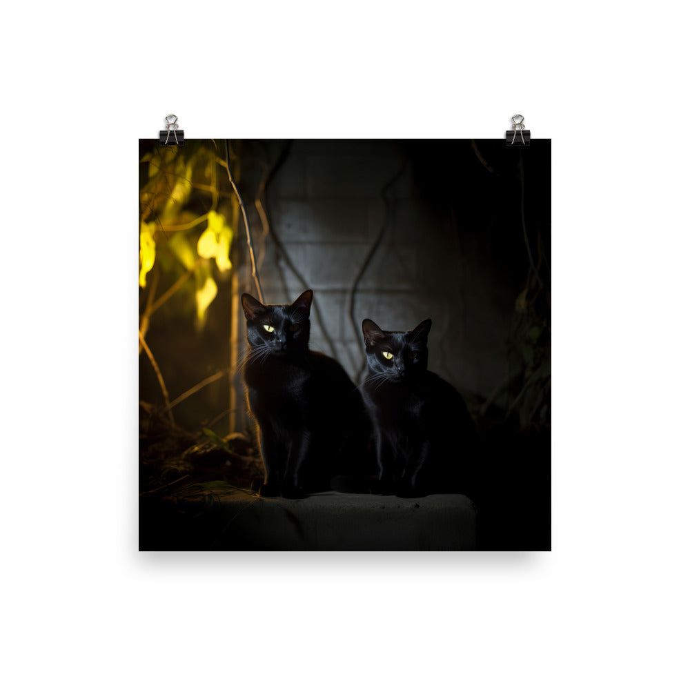 Elegance of Bombay Cat Photo paper poster - PosterfyAI.com