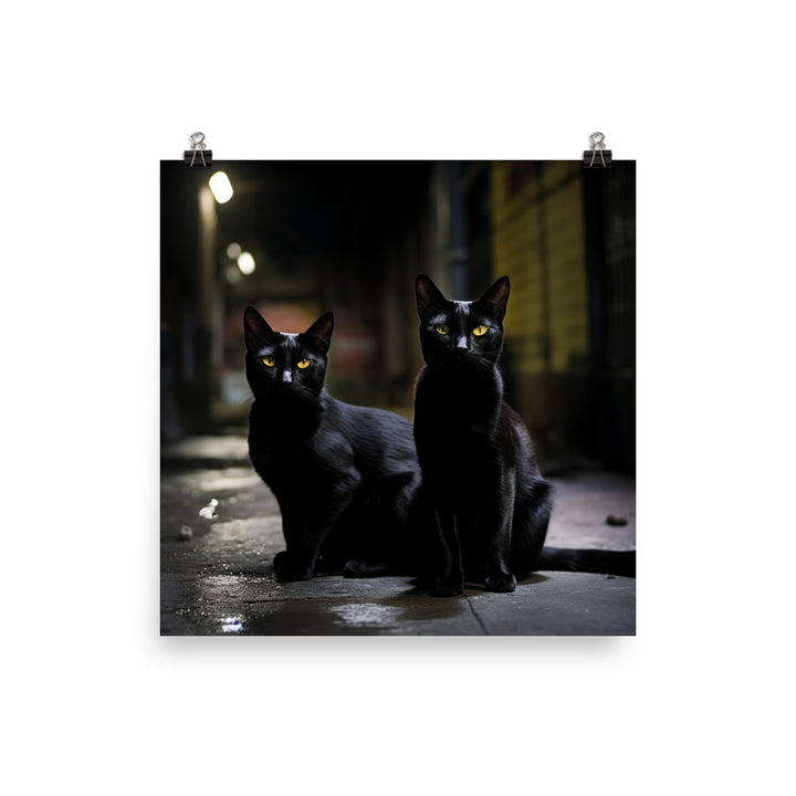 Elegance of Bombay Cat Photo paper poster - PosterfyAI.com