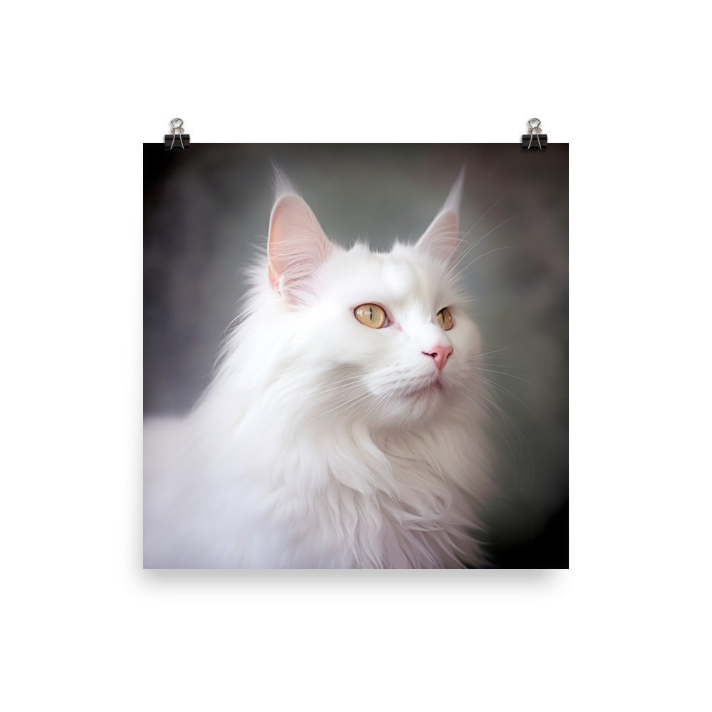 Turkish Angora Cat Photo paper poster - PosterfyAI.com