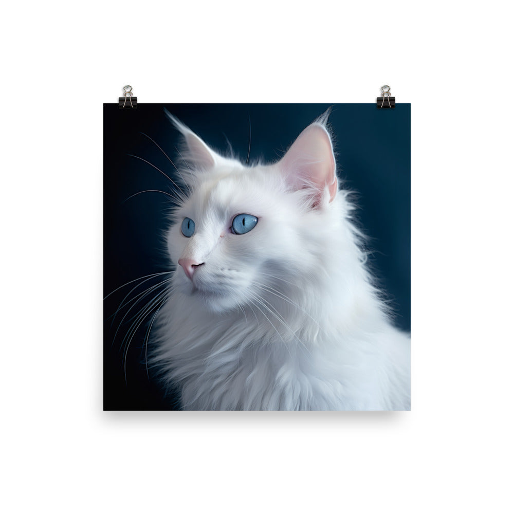 Turkish Angora Cat Photo paper poster - PosterfyAI.com
