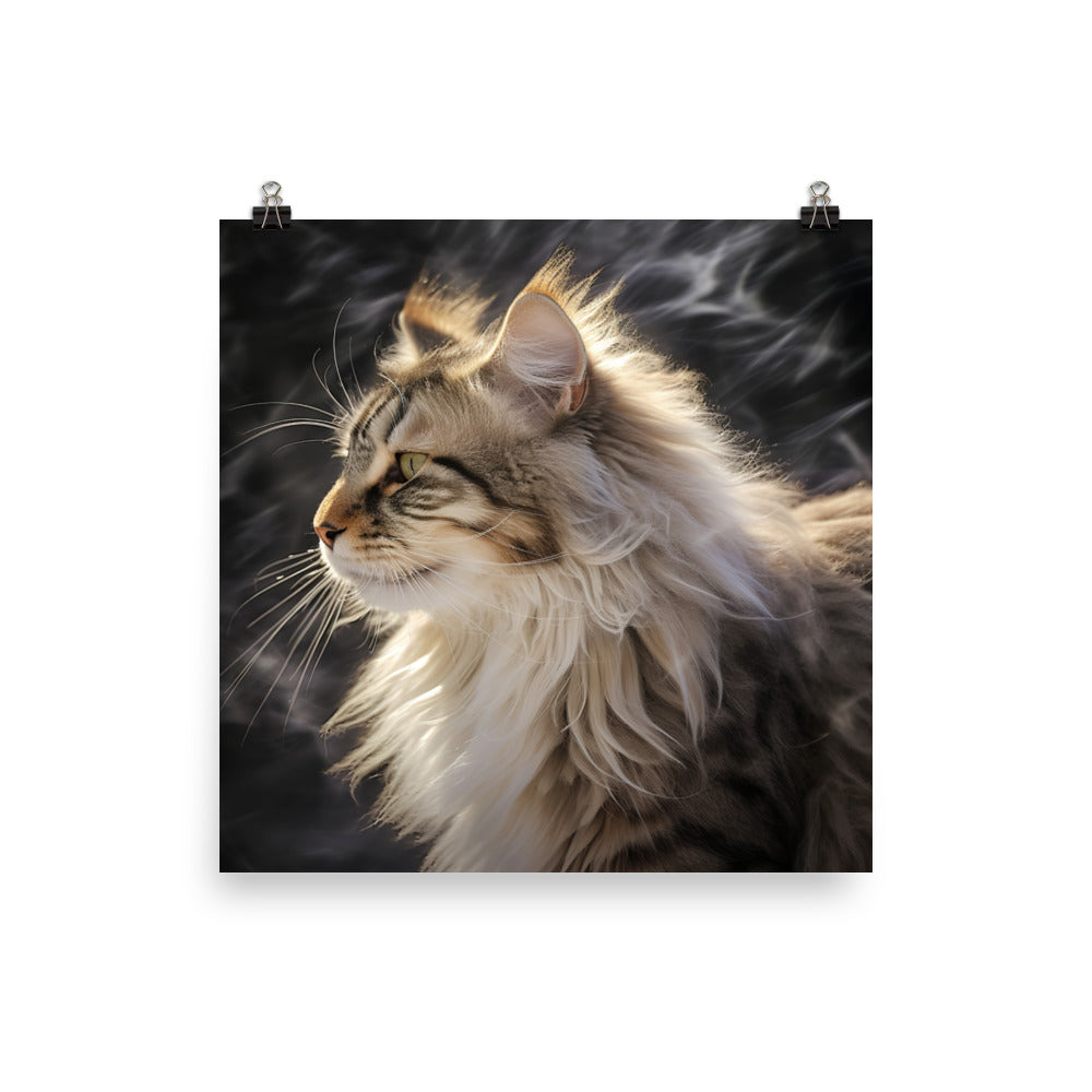 Norwegian Forest Cat Photo paper poster - PosterfyAI.com