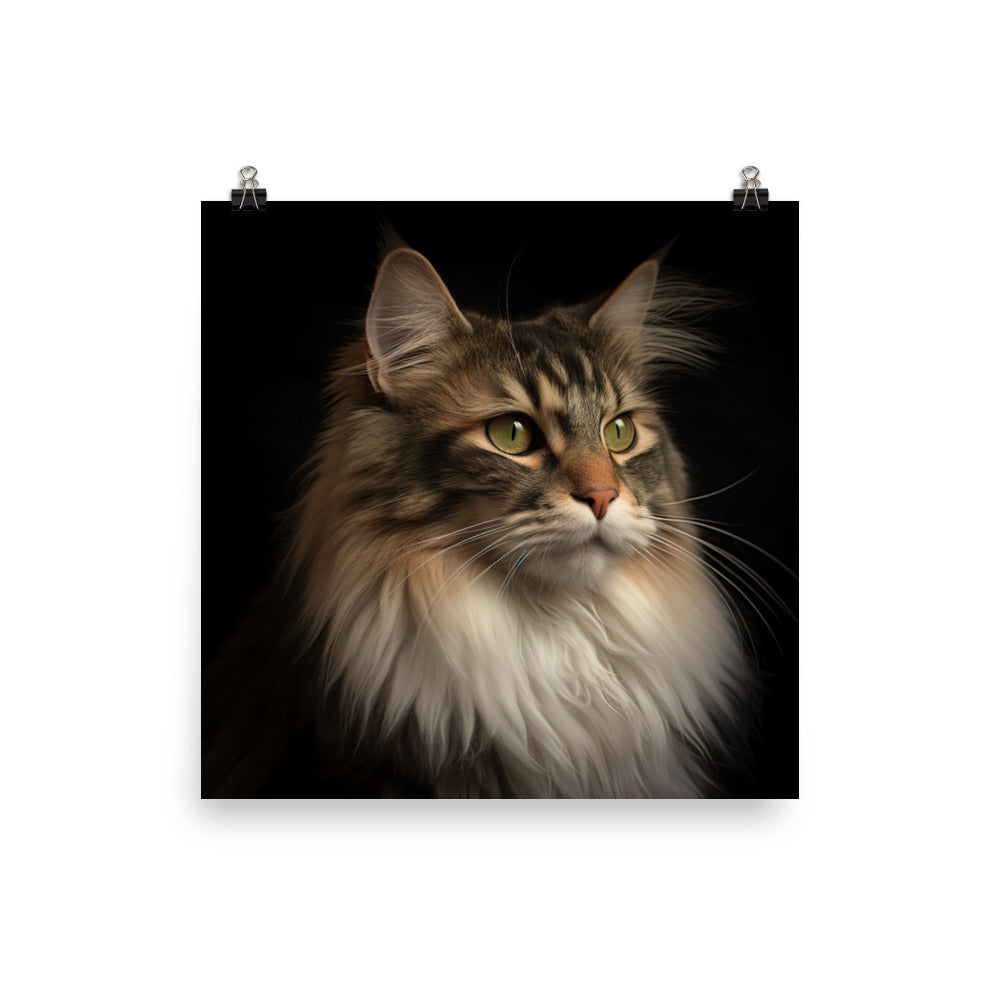 Norwegian Forest Cat Photo paper poster - PosterfyAI.com