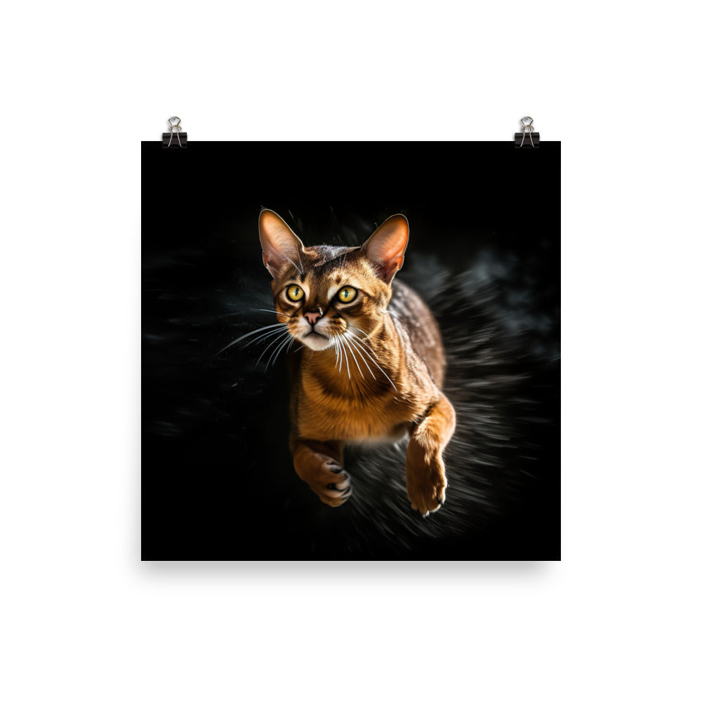 Abyssinian Cat Photo paper poster - PosterfyAI.com