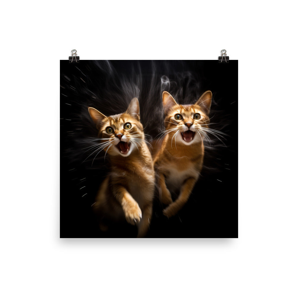 Abyssinian Cat Photo paper poster - PosterfyAI.com