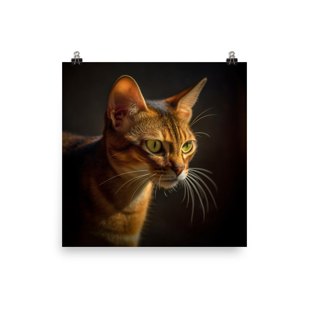 Abyssinian Cat Photo paper poster - PosterfyAI.com
