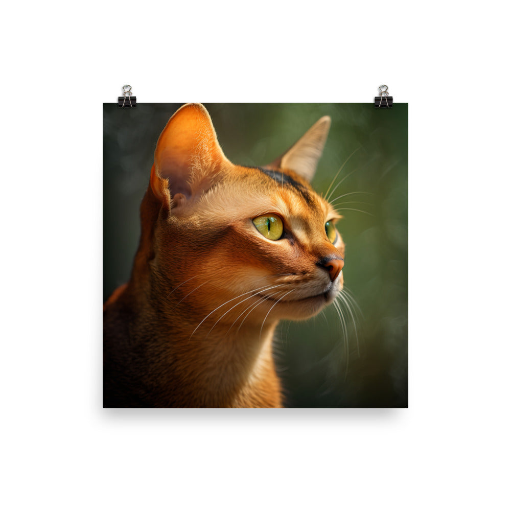 Abyssinian Cat Photo paper poster - PosterfyAI.com