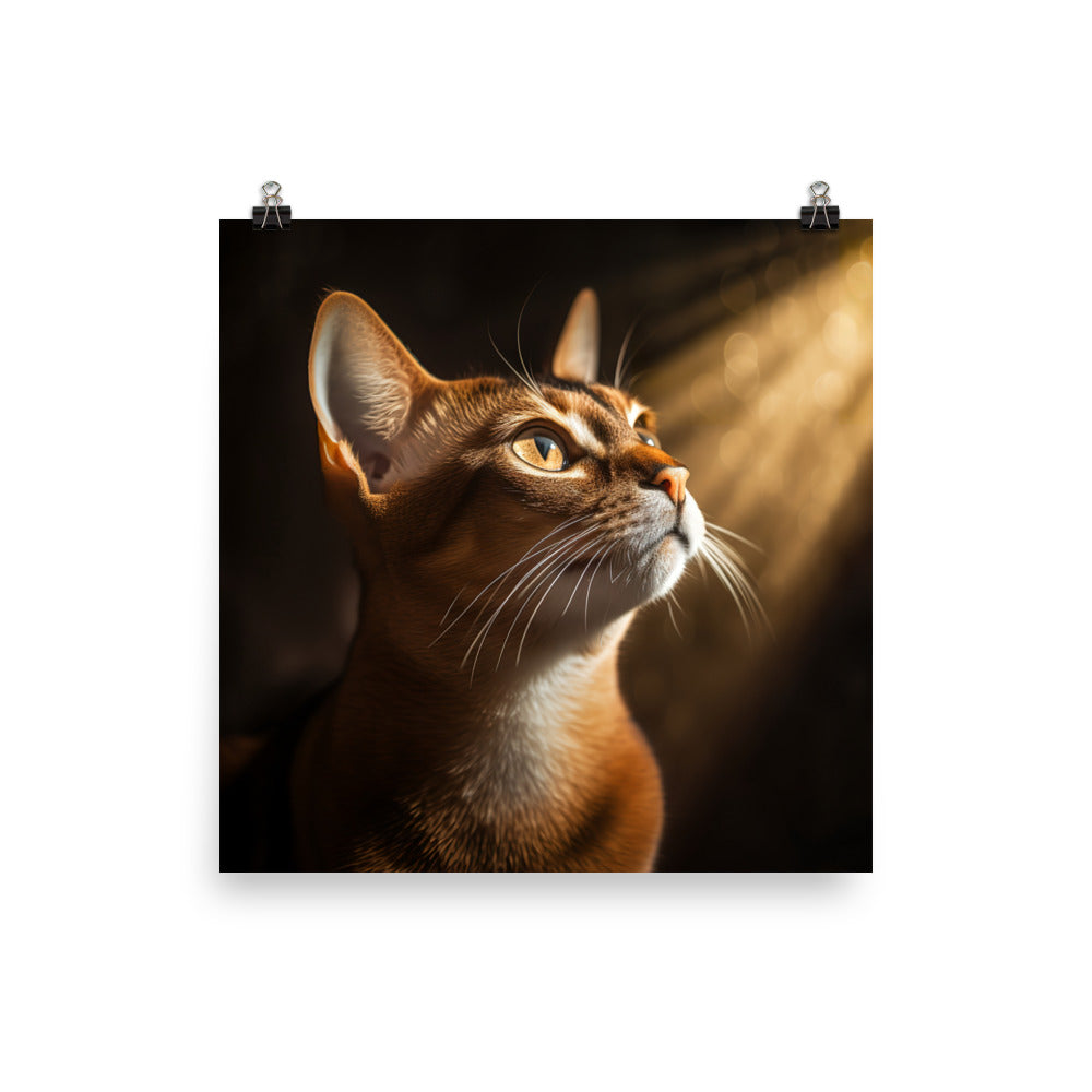 Abyssinian Cat Photo paper poster - PosterfyAI.com