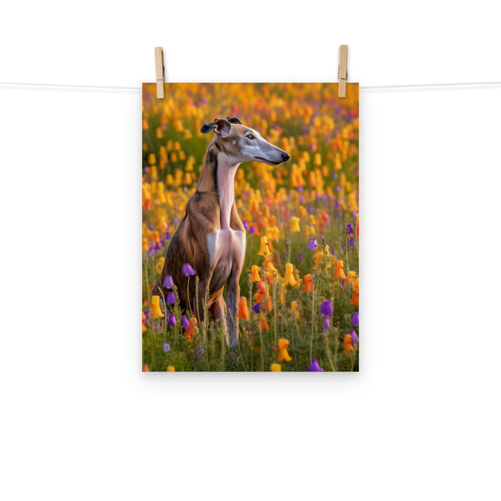 Greyhound Photo paper poster - PosterfyAI.com