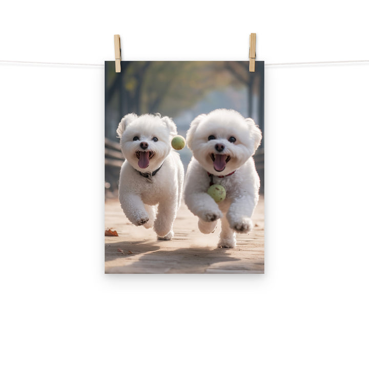 Bichon Frise Photo paper poster - PosterfyAI.com