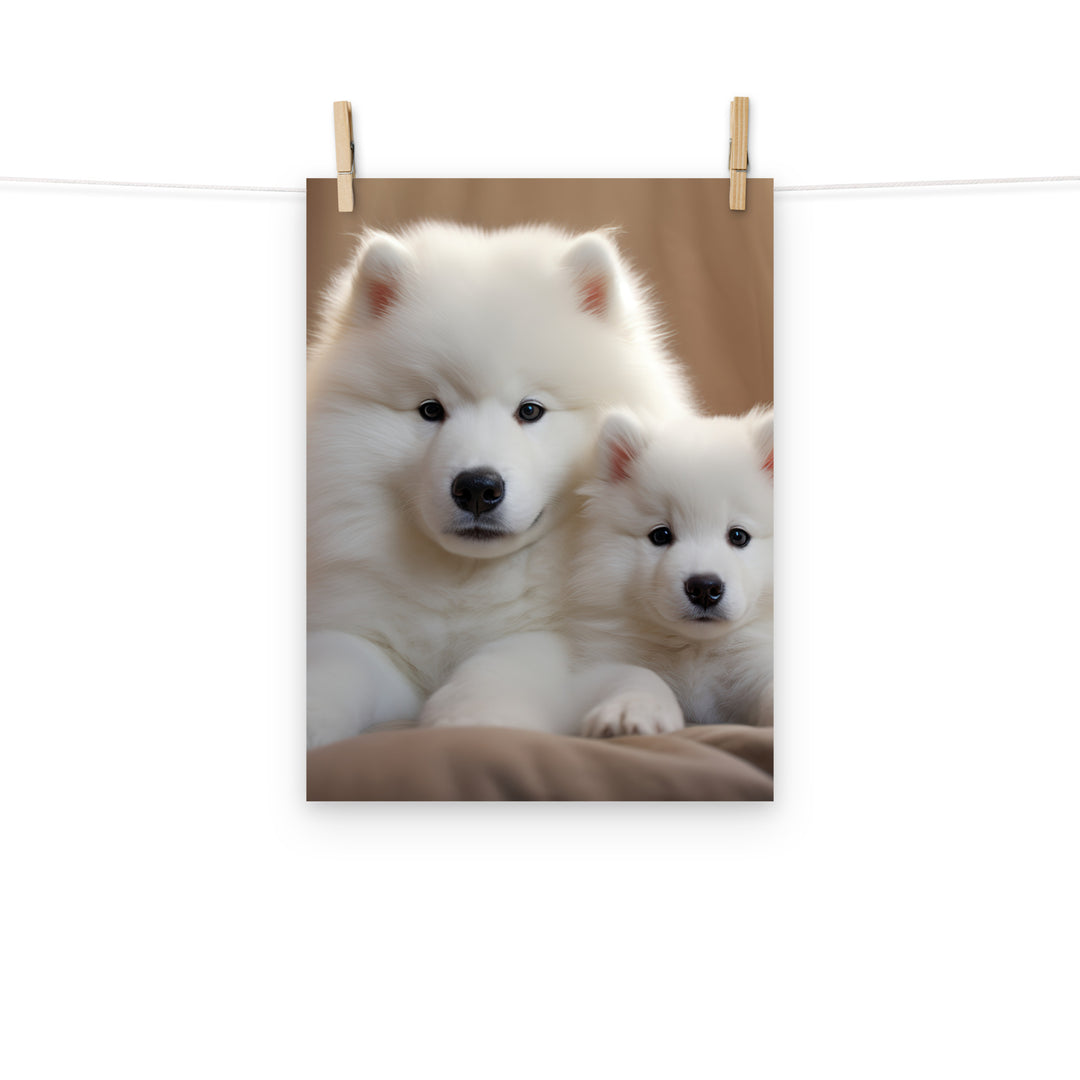 Samoyed Photo paper poster - PosterfyAI.com
