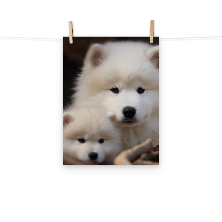 Samoyed Photo paper poster - PosterfyAI.com