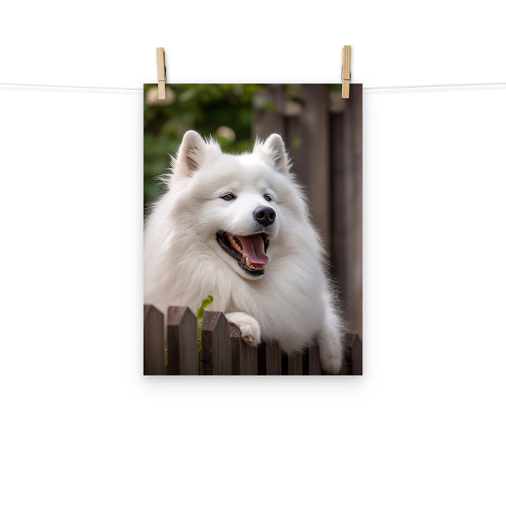 Samoyed Photo paper poster - PosterfyAI.com