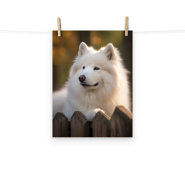 Samoyed Photo paper poster - PosterfyAI.com