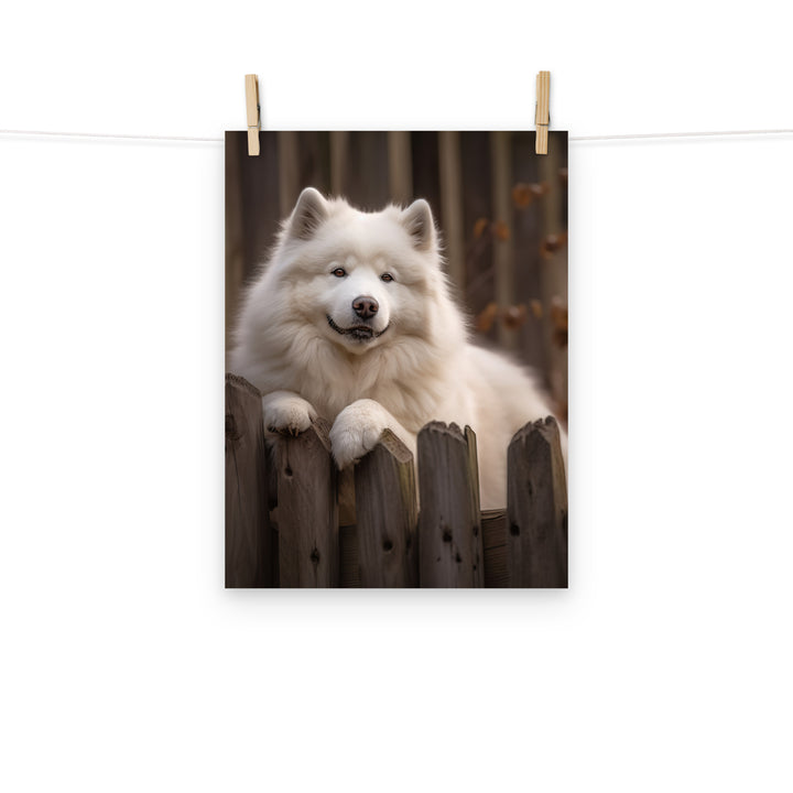 Samoyed Photo paper poster - PosterfyAI.com
