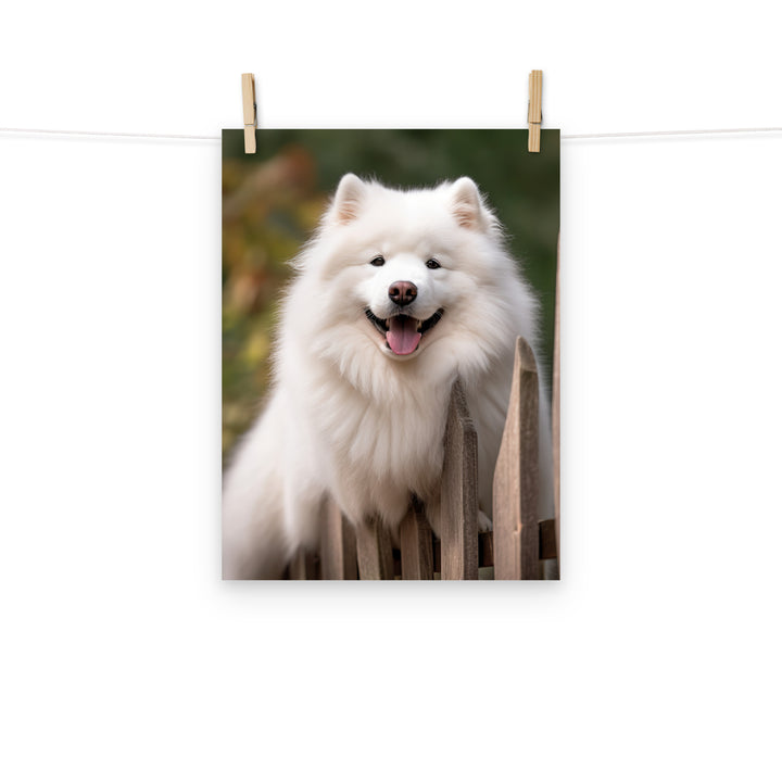 Samoyed Photo paper poster - PosterfyAI.com