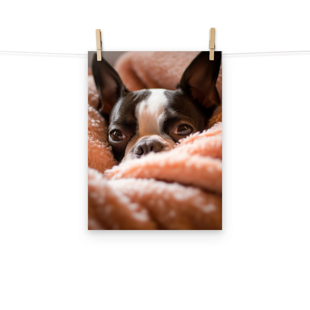 Boston Terrier Photo paper poster - PosterfyAI.com