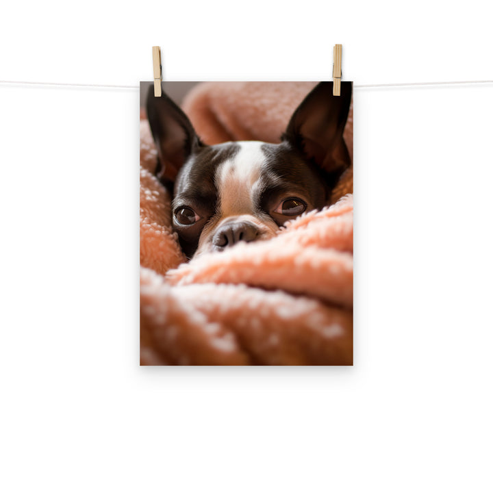 Boston Terrier Photo paper poster - PosterfyAI.com