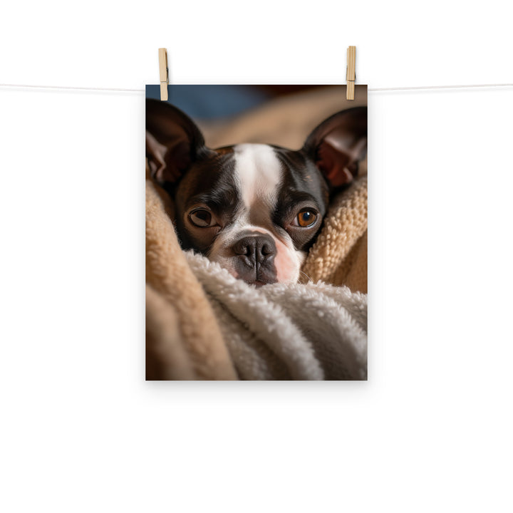Boston Terrier Photo paper poster - PosterfyAI.com