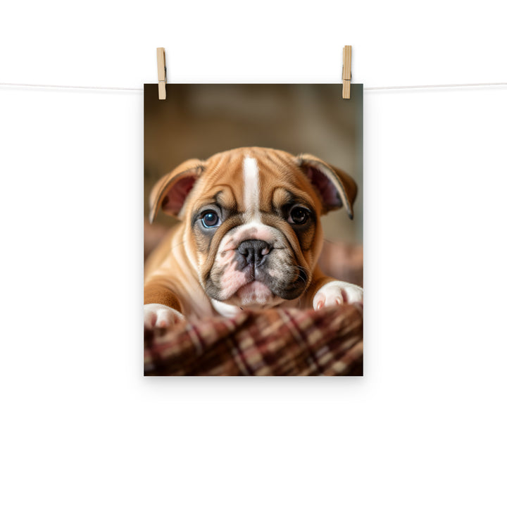 Bulldog Photo paper poster - PosterfyAI.com