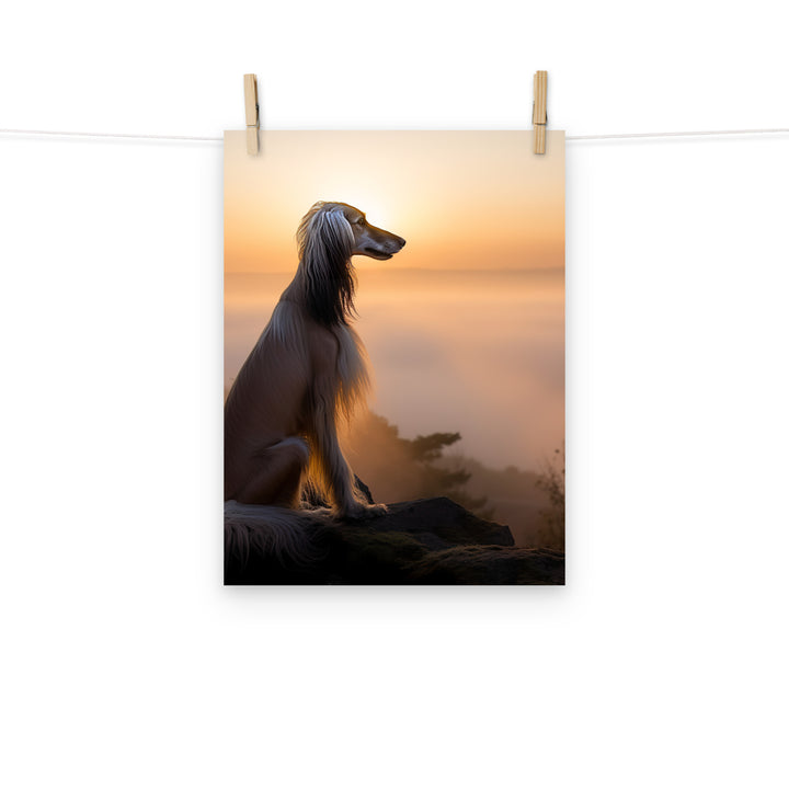 Afghan Hound Photo paper poster - PosterfyAI.com