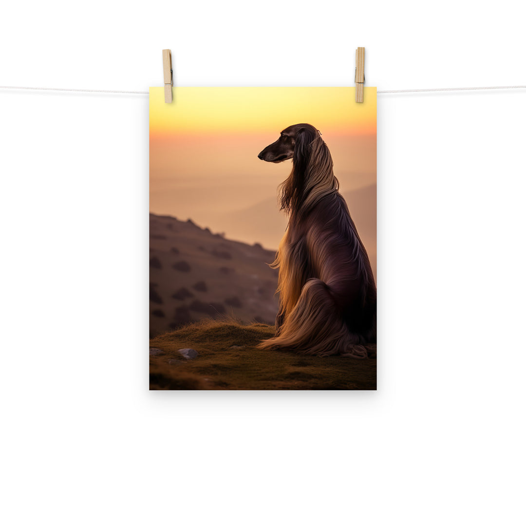 Afghan Hound Photo paper poster - PosterfyAI.com