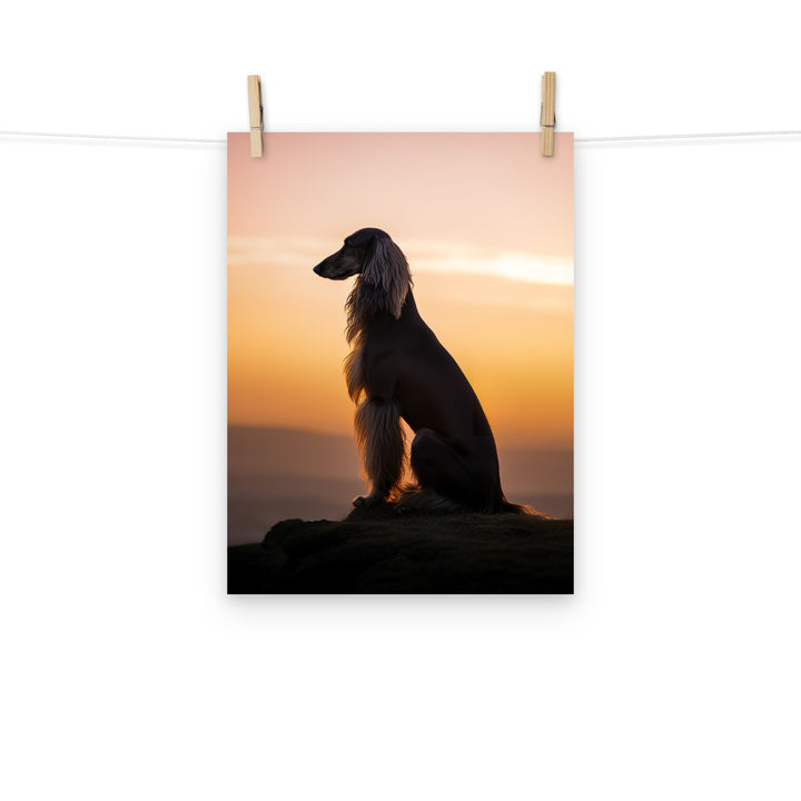 Afghan Hound Photo paper poster - PosterfyAI.com