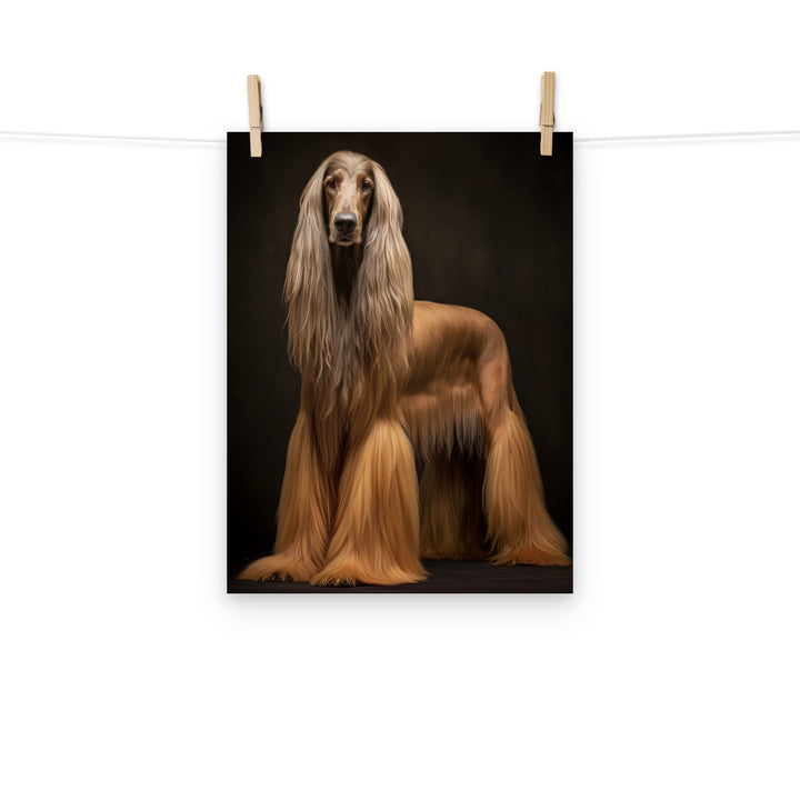 Afghan Hound Photo paper poster - PosterfyAI.com